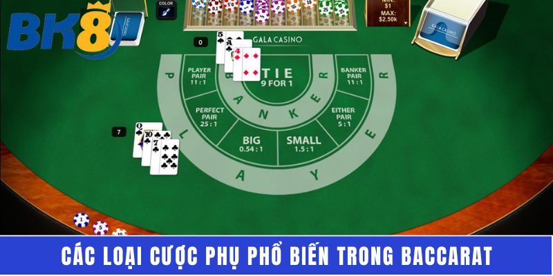 Các loại cược phụ phổ biến trong baccarat