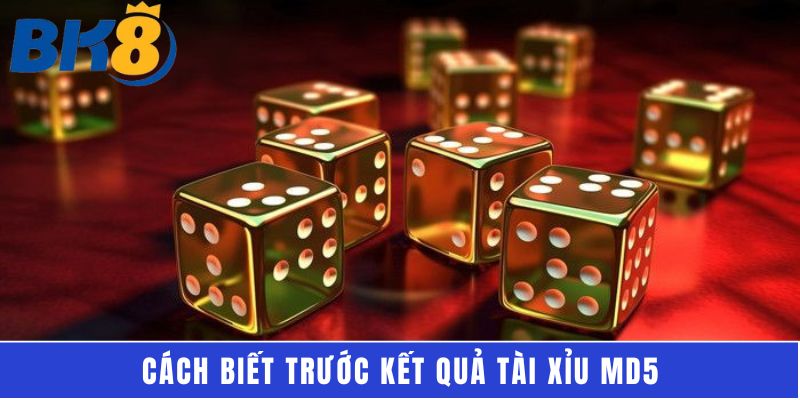 Cách biết trước kết quả tài xỉu MD5