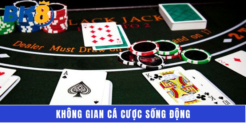 Không gian cá cược sống động