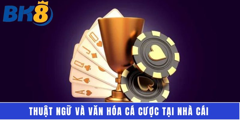 Thuật ngữ và văn hóa cá cược tại nhà cái 