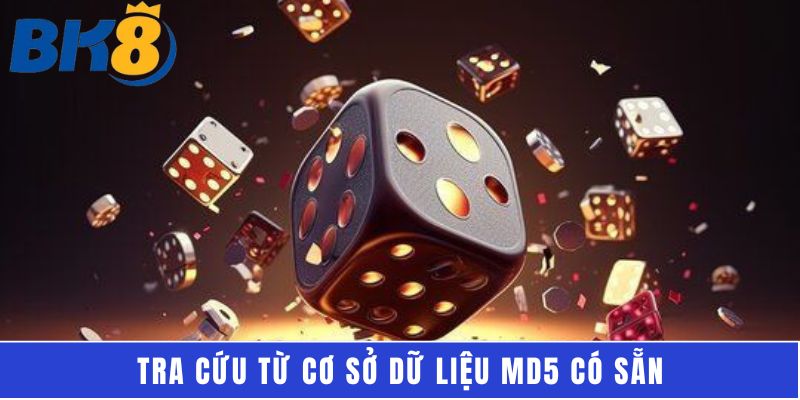Tra cứu từ cơ sở dữ liệu MD5 có sẵn